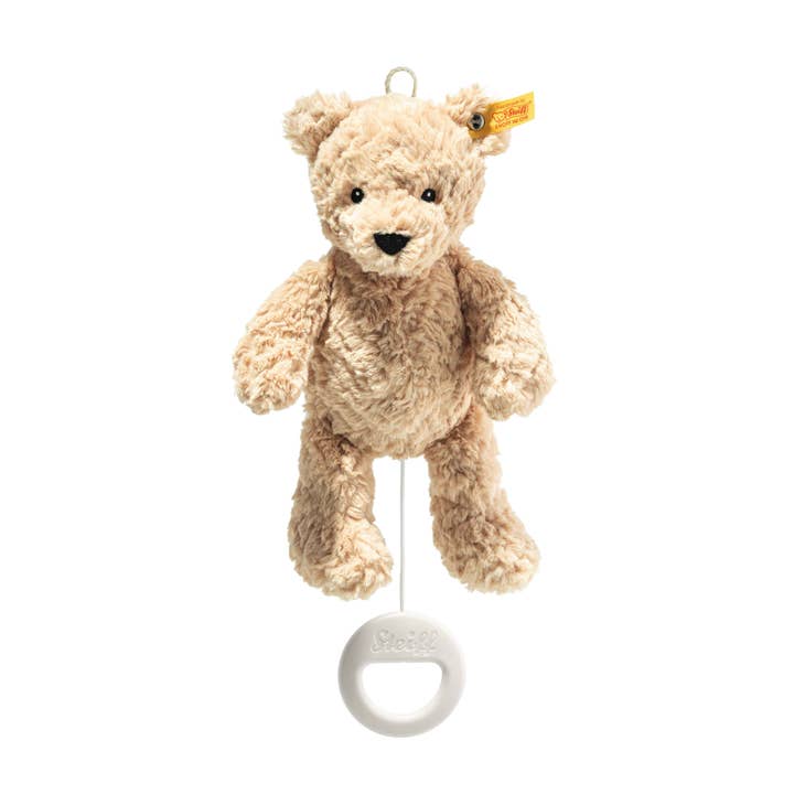 Jimmy Teddy Bear Musical Pull Toy, 10 Inches